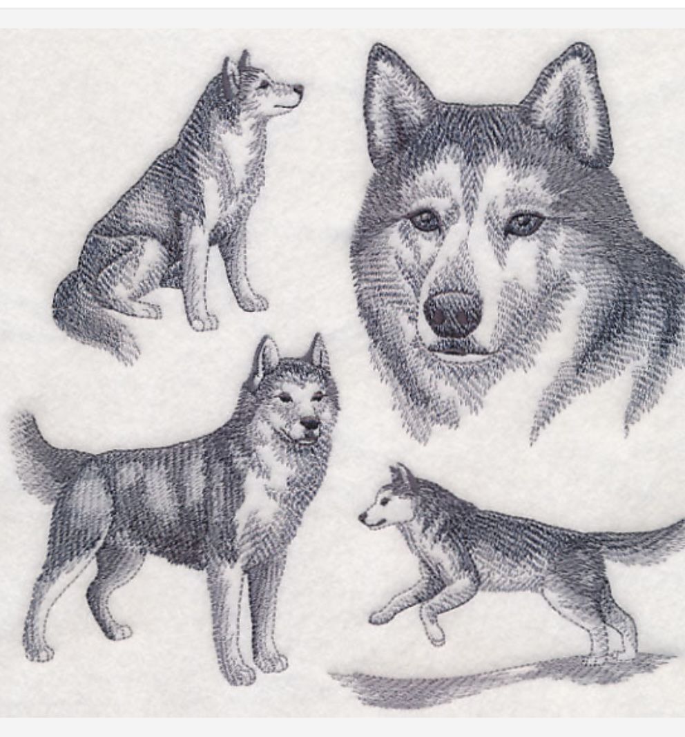 Husky Embroidered Dish Towel