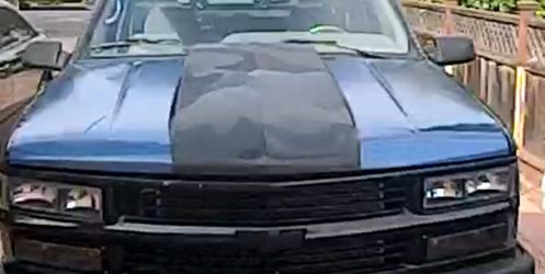 Obs hood