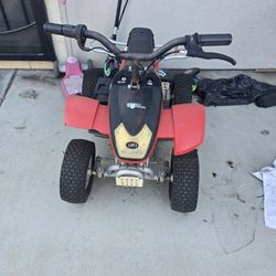 Minimoto Electric 4-Wheeler