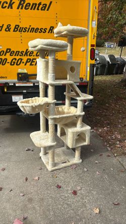 Cat Play Set