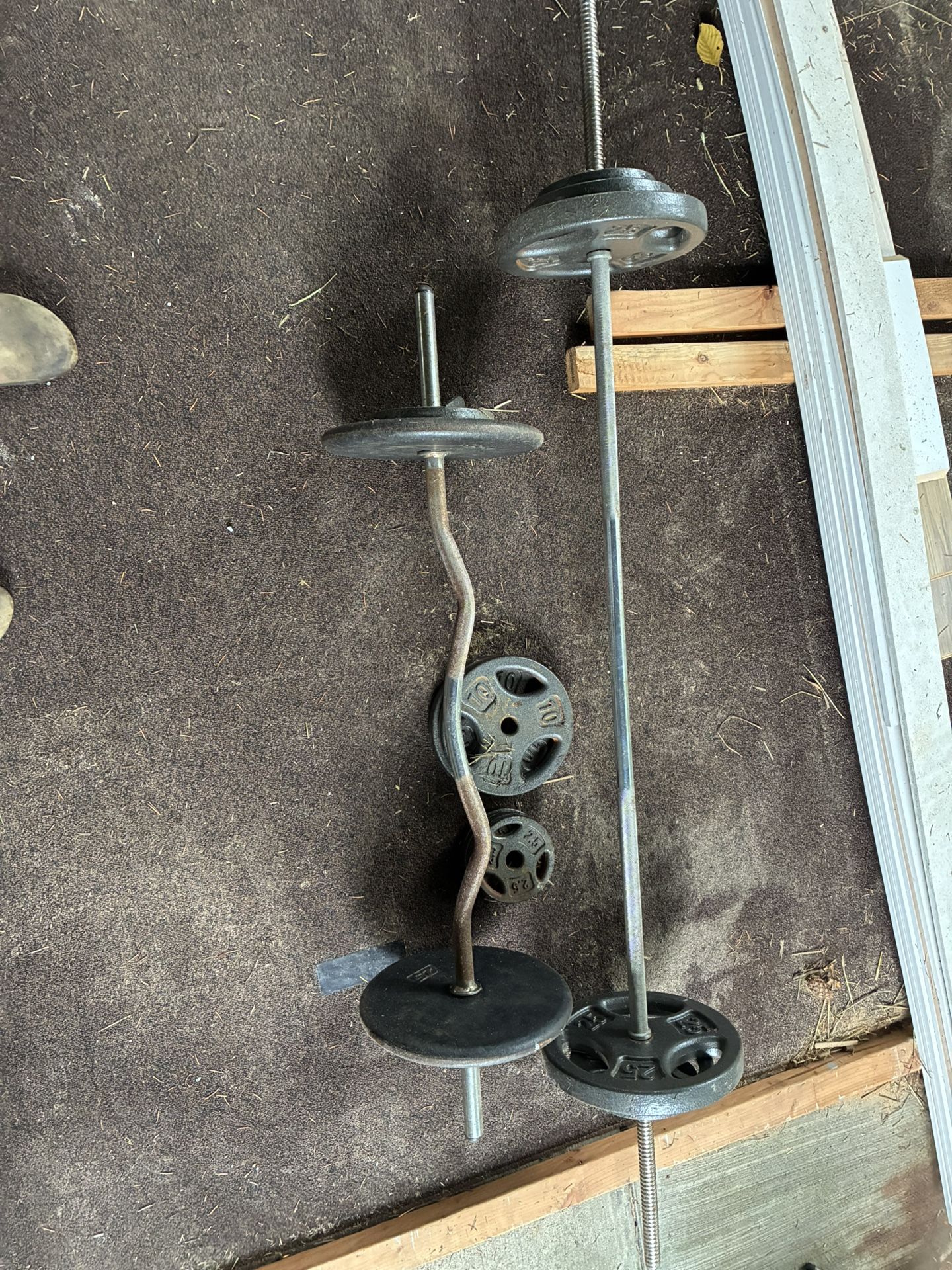 Bar Bell With Weights