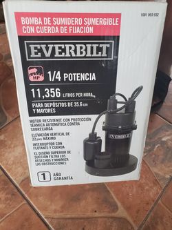 Everbilt Pump