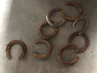 Horse shoes