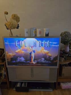 Free-43 Sony TV ,DVD Player, TV Stand