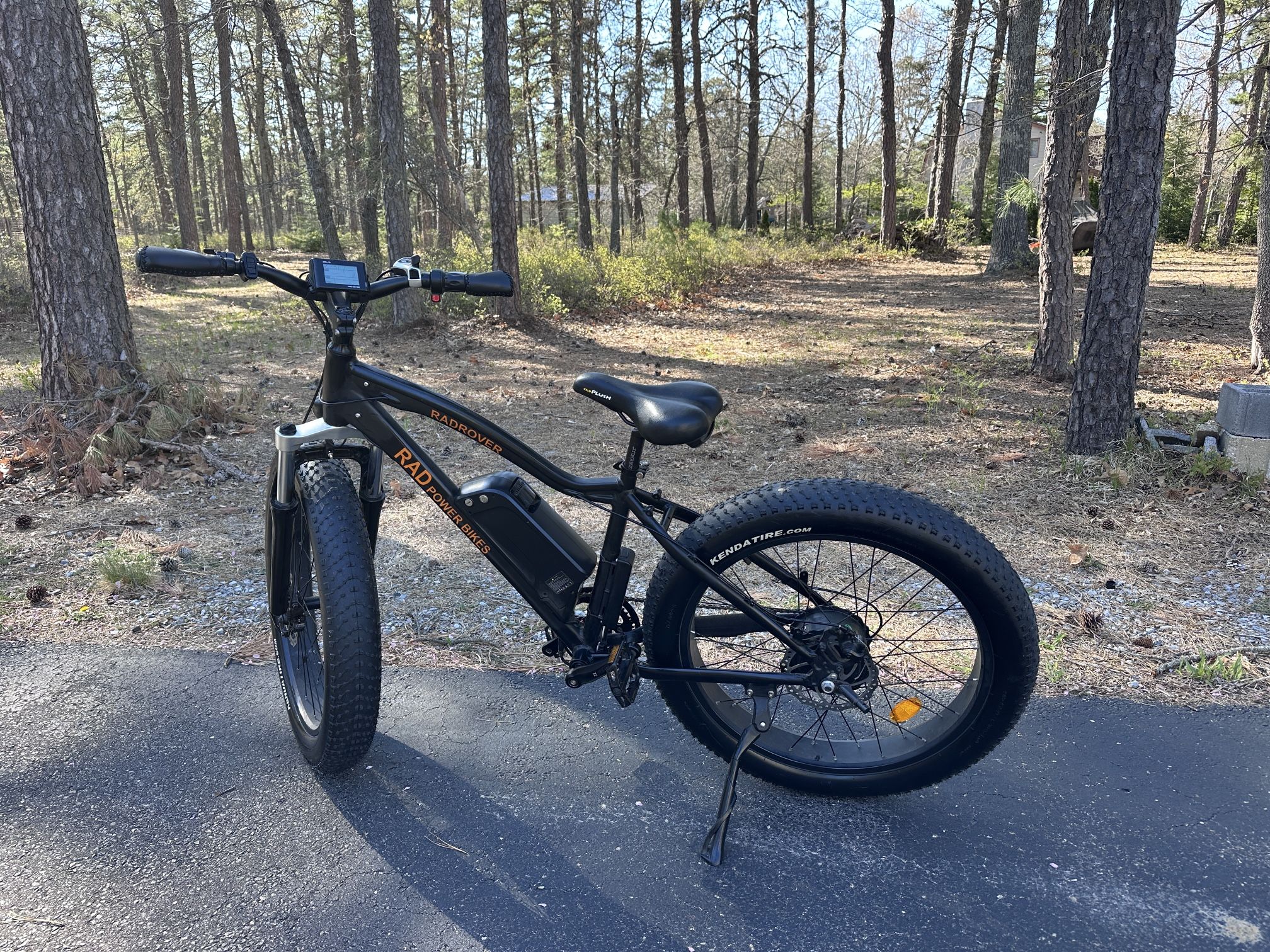 Rad Rover Electric Bike - used a total of 9 times and was garage kept. <50 miles odometer!