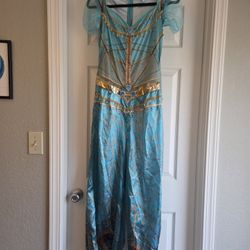 Princess Jasmine HALLOWEEN Costume, Size Adult  Medium