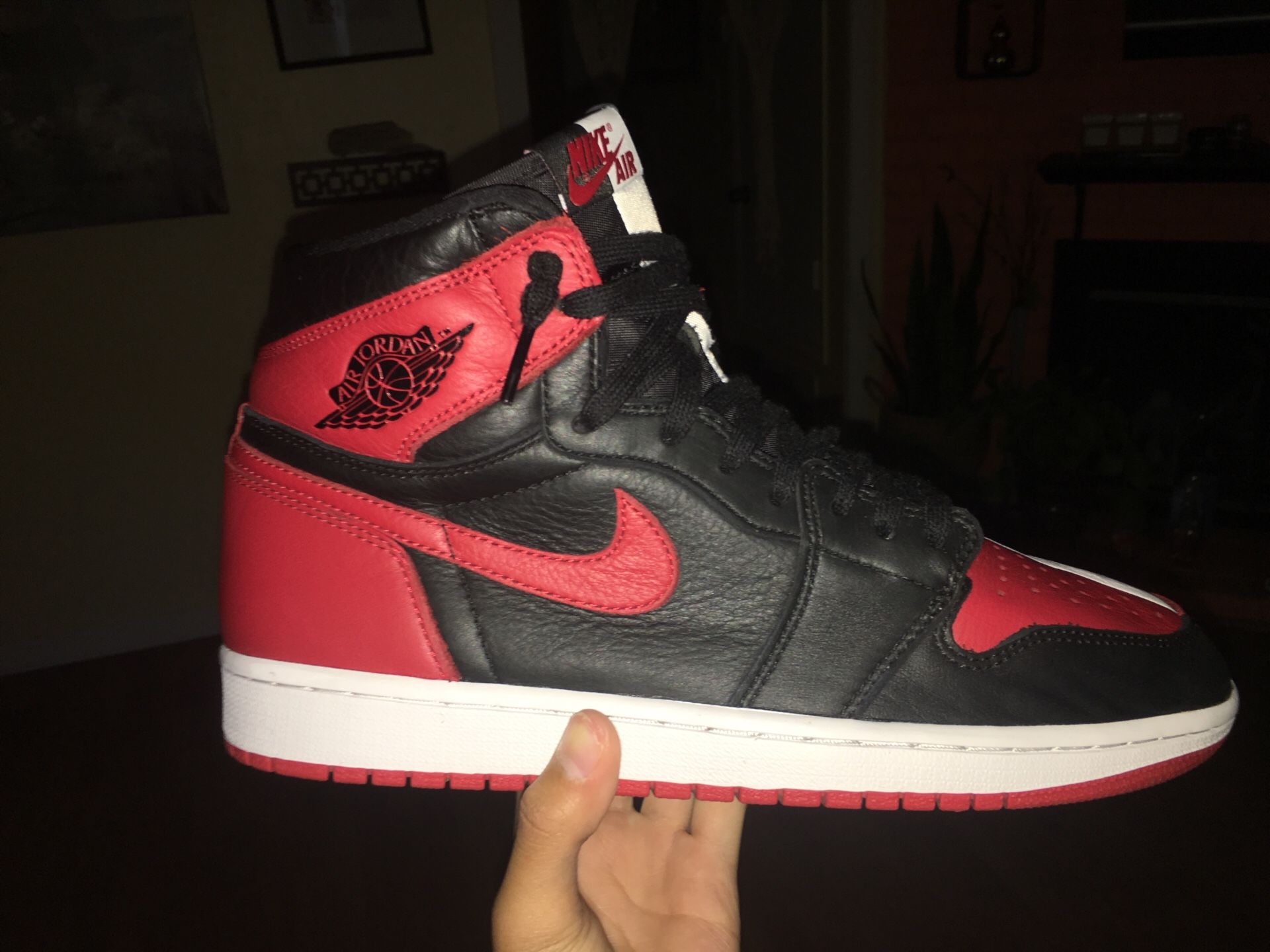 Jordan 1 Homage To Homes size 10