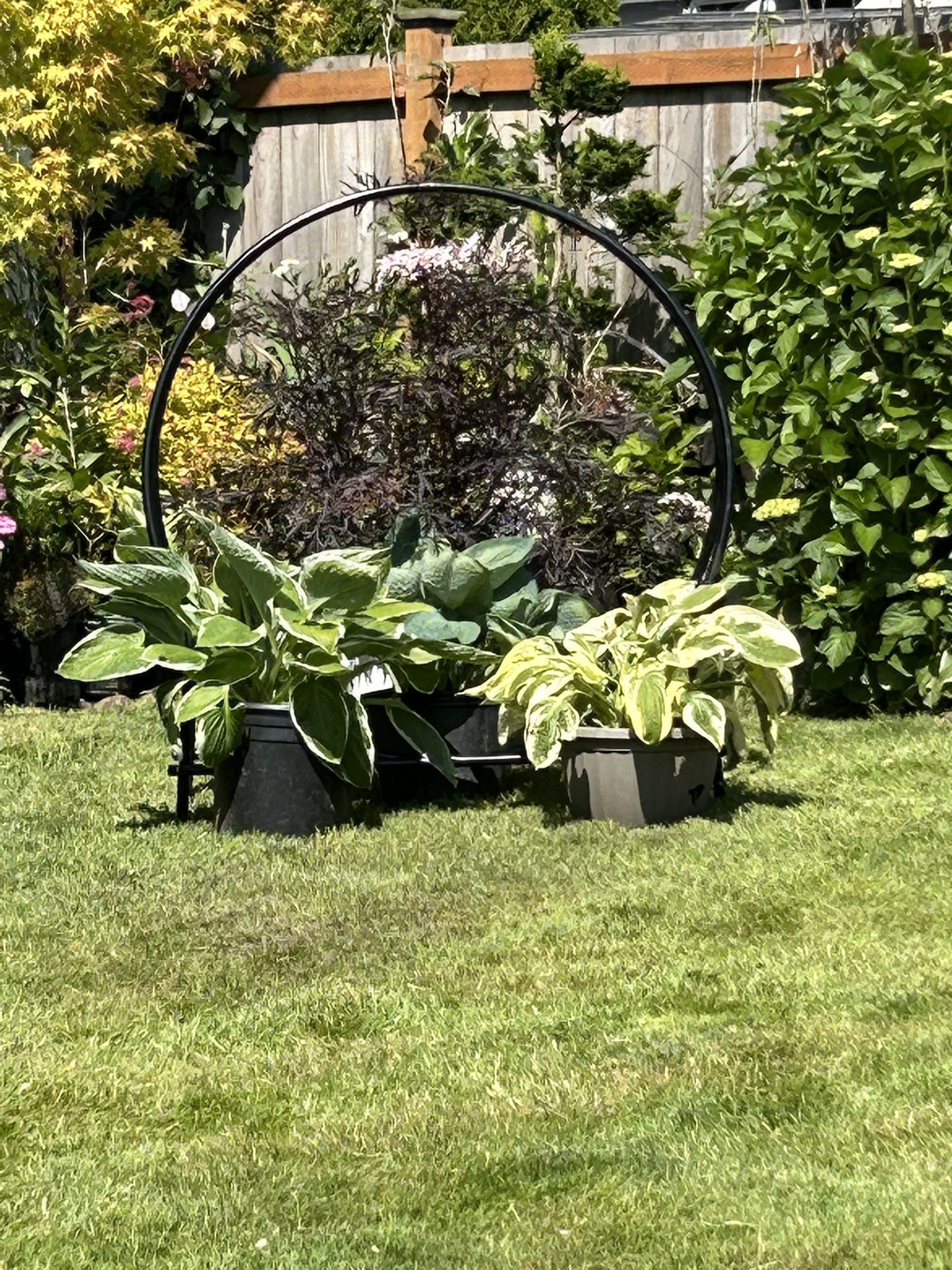 Beautiful Black Lace Leaf π