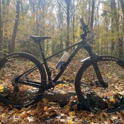 2021 Giant XTC Advanced 29 size Small