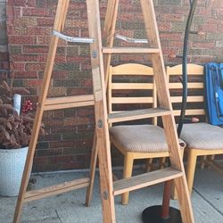 Wooden Ladder 