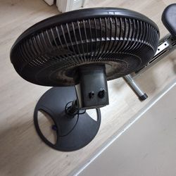 Fan 