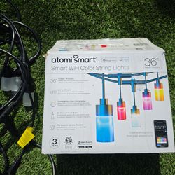 Smart WiFi Color String Lights