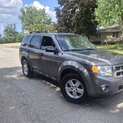 2010 Ford Escape