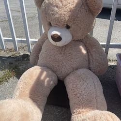 Brand New Teddy Bear 🧸 