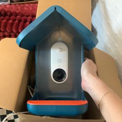 Smart Bird Feeder 