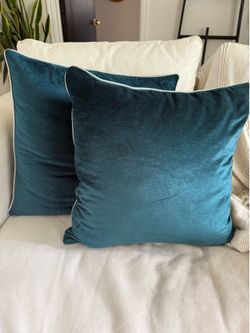 Anthropologie velvet throw pillows (2)