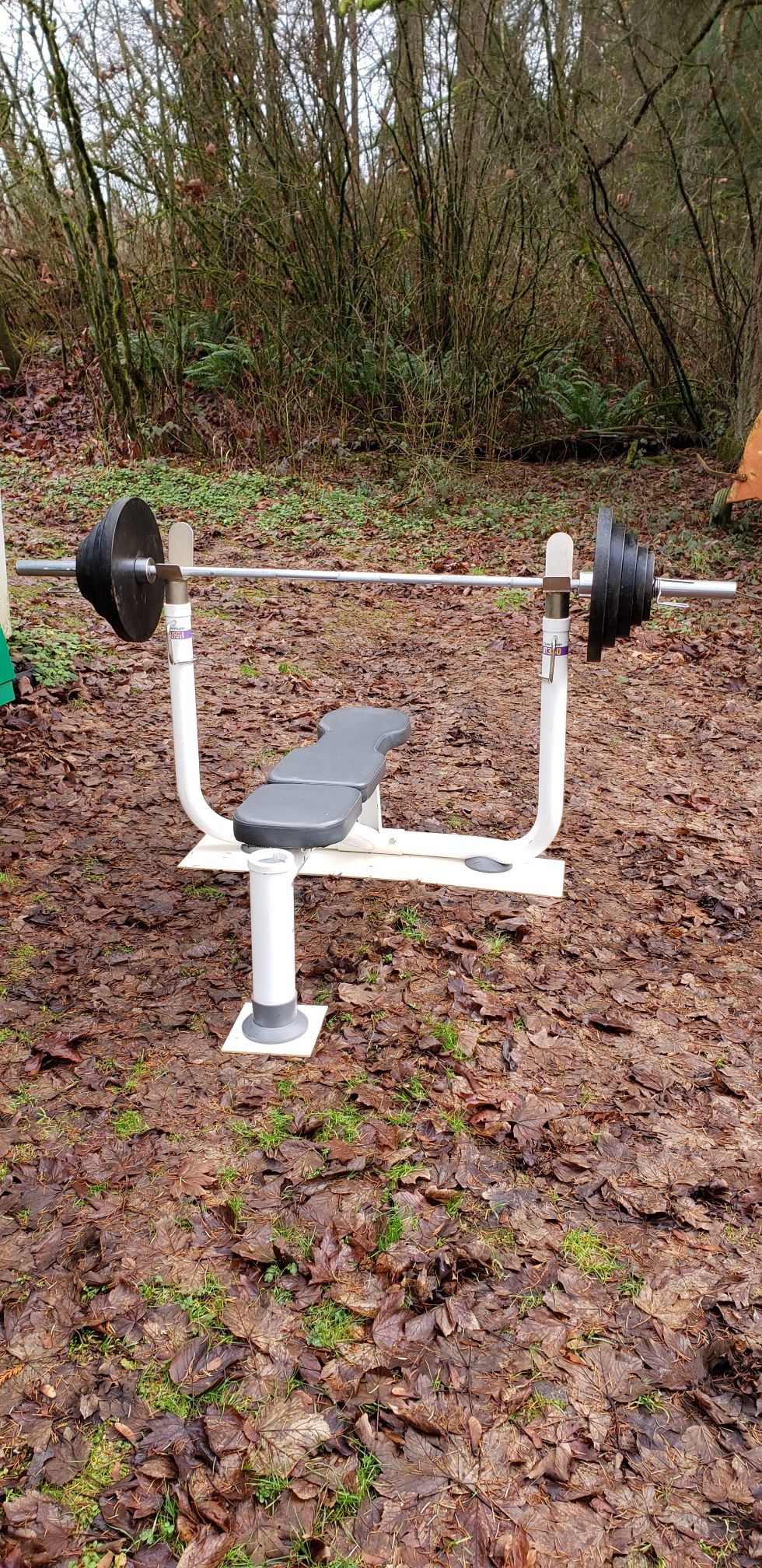 Tunturi MT 360 Bench Press and Olympic Weights and Barbell