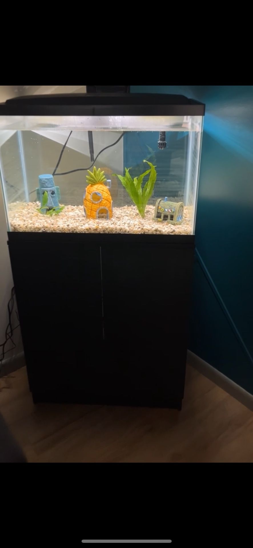 Fish Tank With Stand