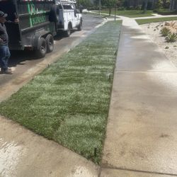 ))))))SOD(((((INSTALLATION ((((()))