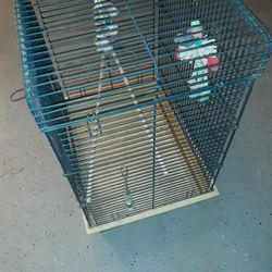 Bird Cage