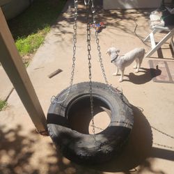 Tire Swing