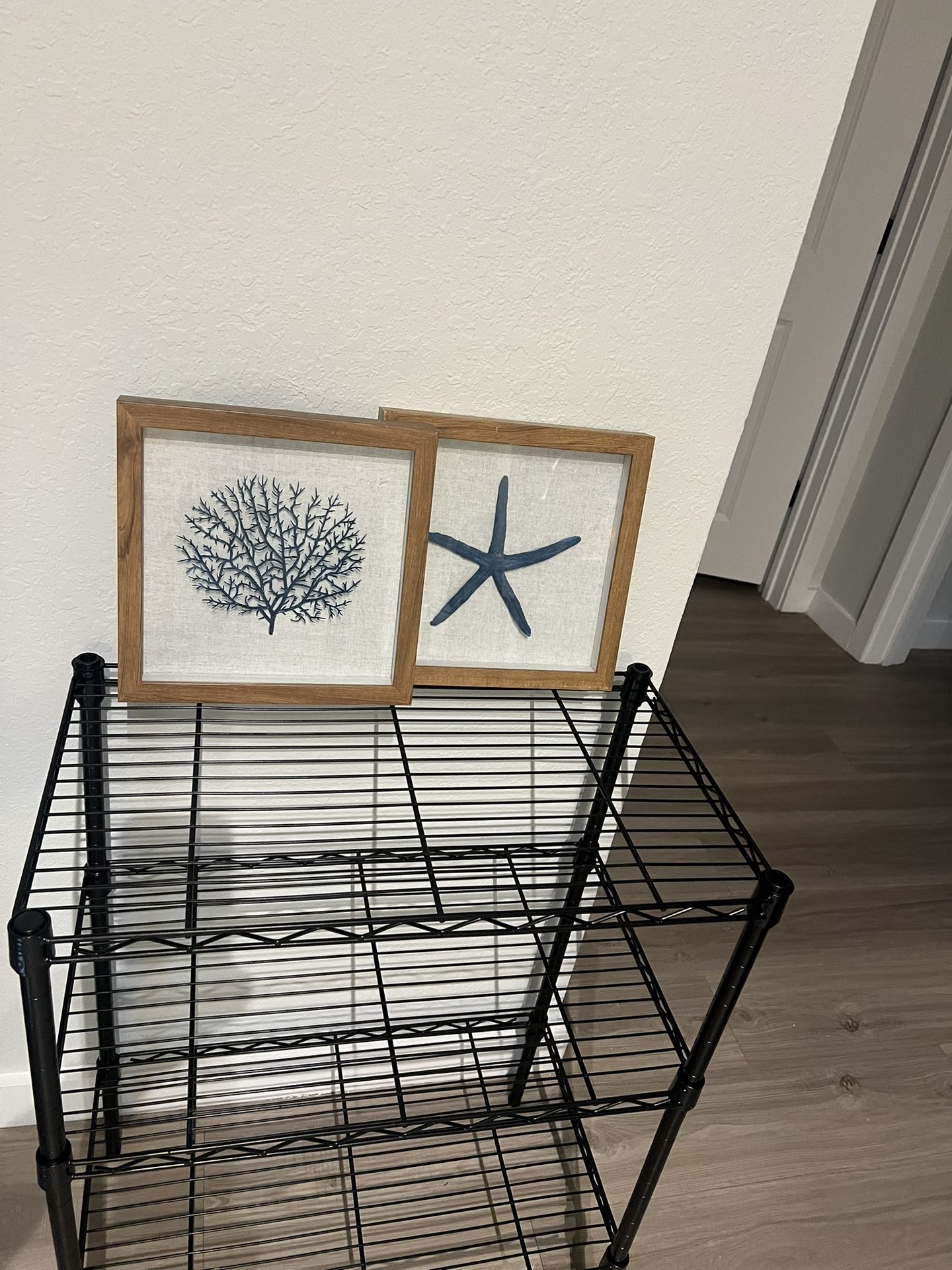 Wall Decor - Starfish & Coral