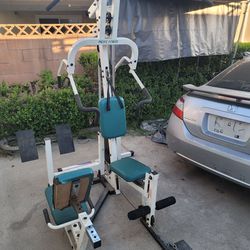 Home GYM dip station Pacific Fitness : 150 lb weight.