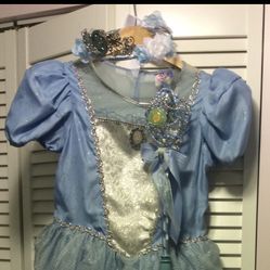 Disney Princess Costume 