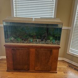 Fish tank With Wooden stand