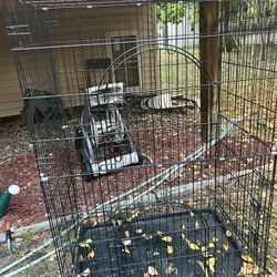 Birds Cage For Sale 