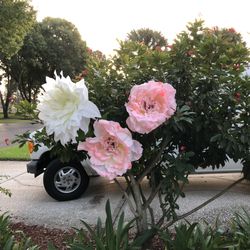 (3) gigantic silk flowers... gorgeous