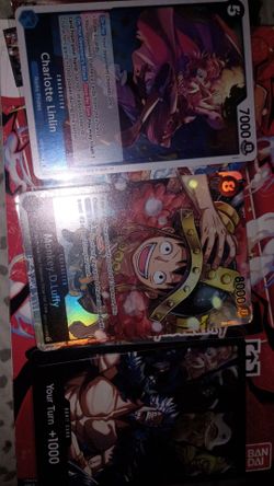One piece bundle