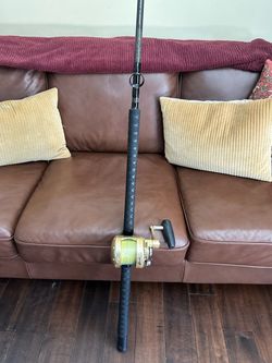 Avet Ex 30/2 and Graftech XXXH Railrod
