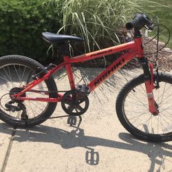 Nishiki 20” Bike 