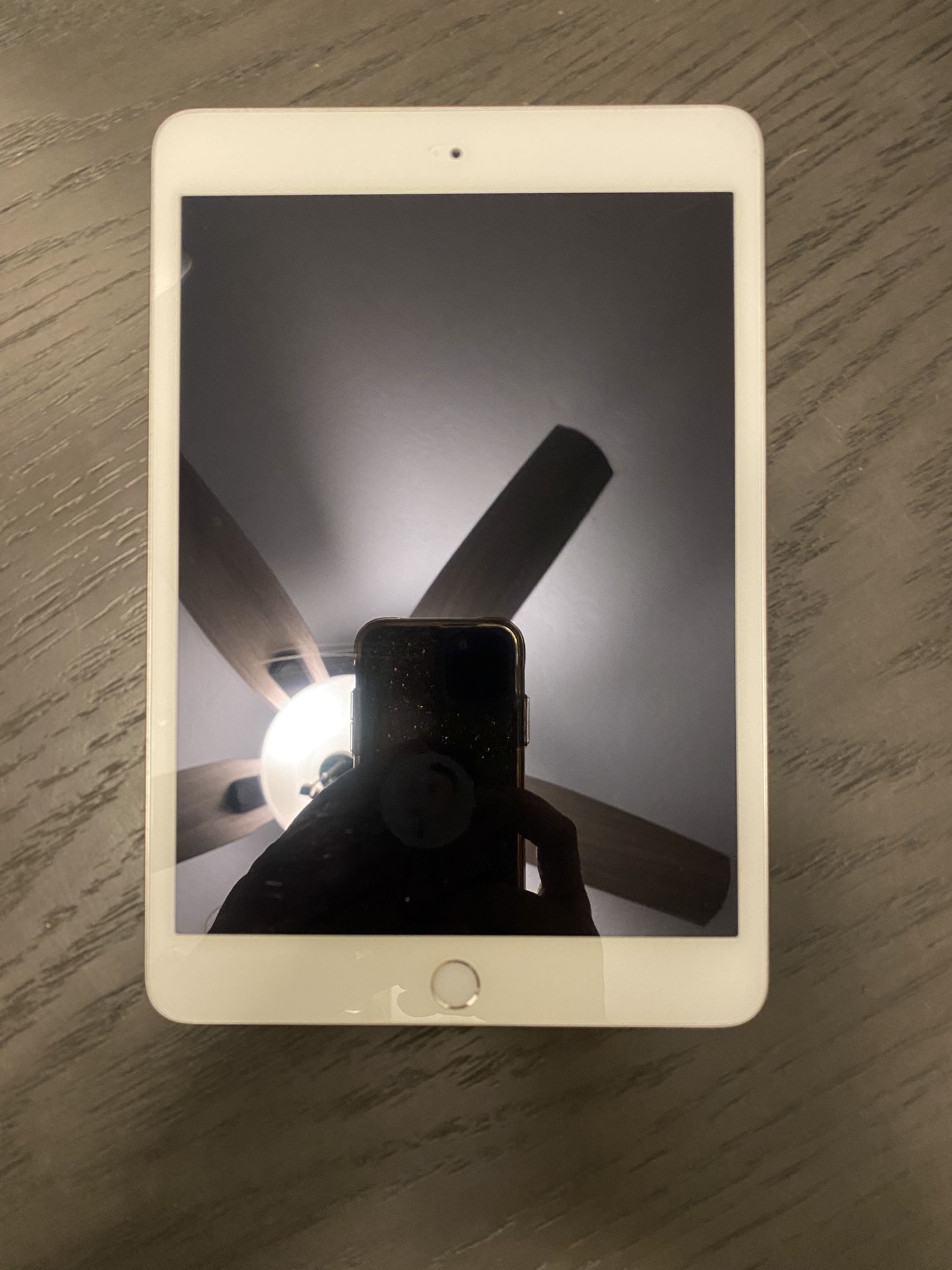 iPad mini 3