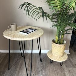 Coffee Table and Plant Stool / Stand. (Outdoor Or Indoor)