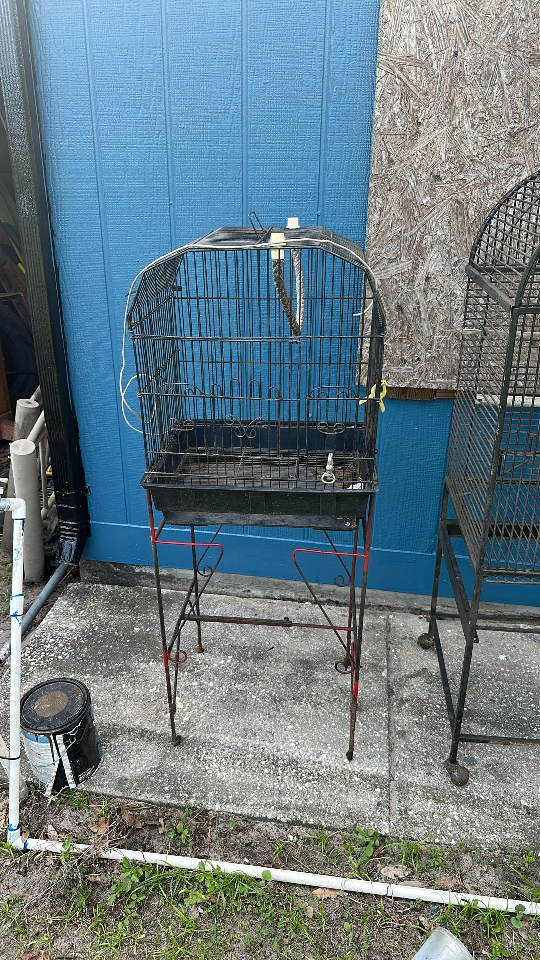Bird Cage