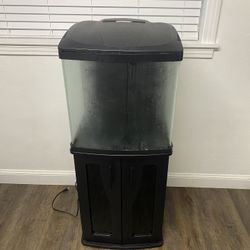 32 Gal Bio Cube