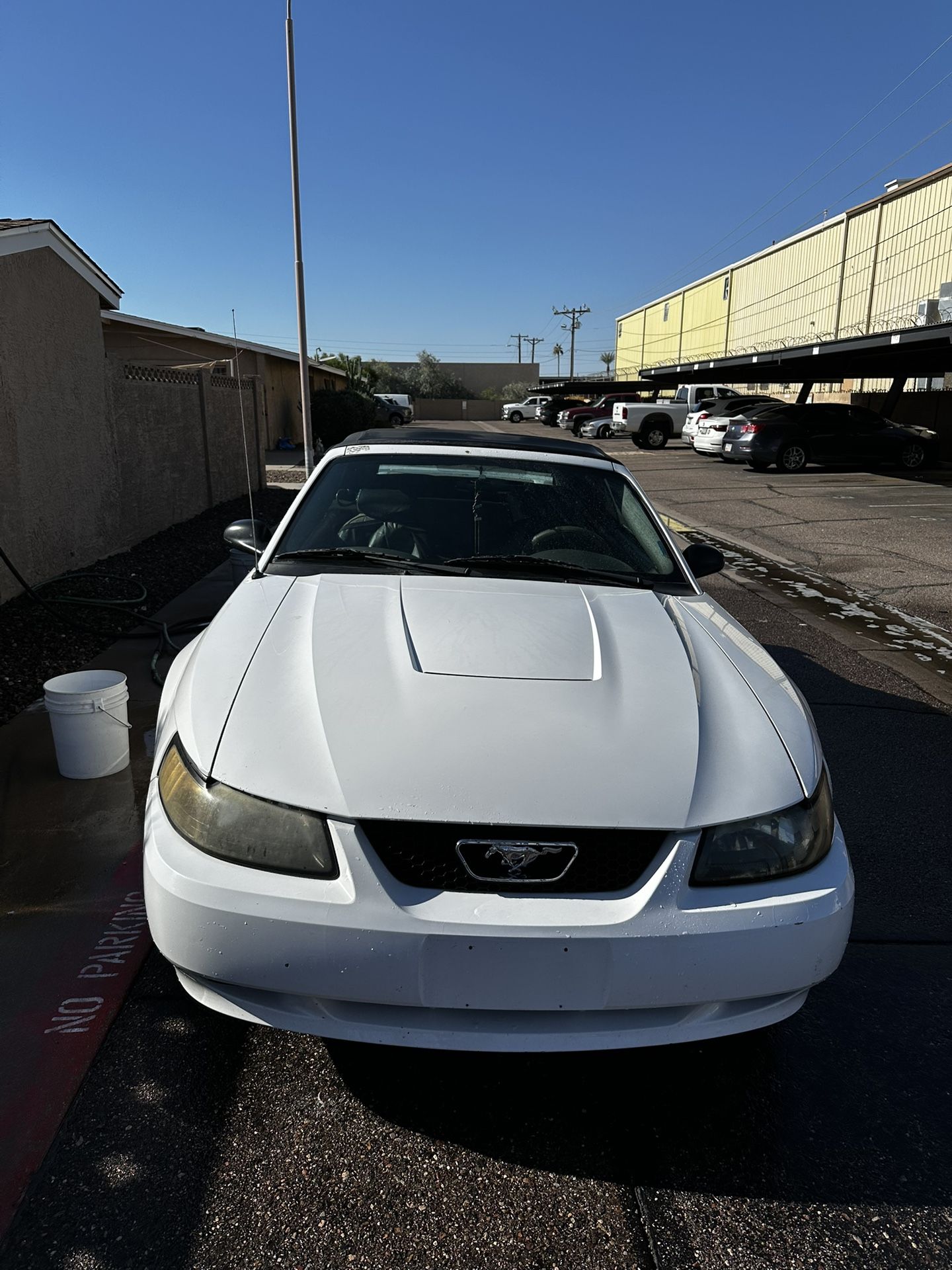 2003 Ford Mustang