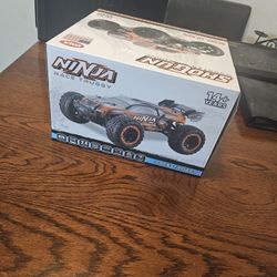 Shogun RC AWD Truggy 1/16th Scale Hobby Grade RC