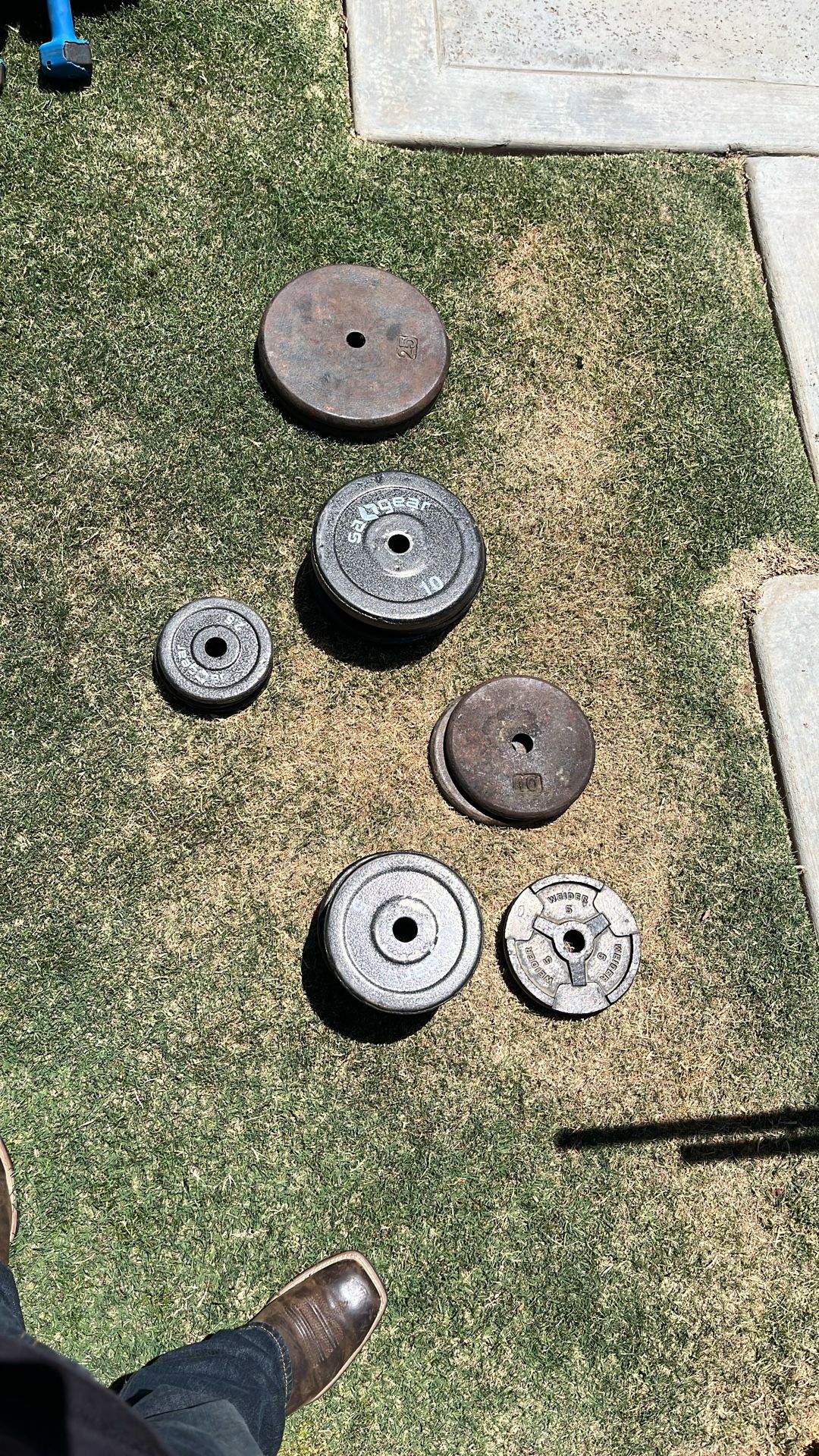 Free Weights