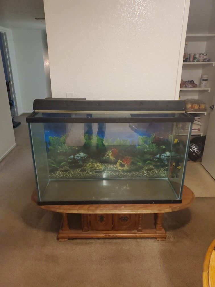 75 Gallon Aquarium Good Condition, 👍  Make Me A Offer If Interested  Serious Inquirys Only!