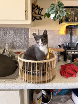 Bamboo Basket For Storage Boho Decor 