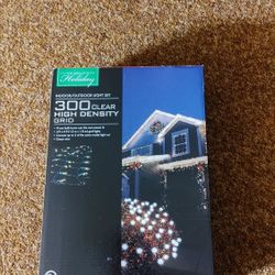 Outdoor Christmas Lights