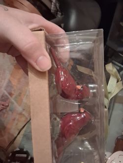 Cardinal decor