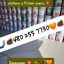 Pintura De Venta
