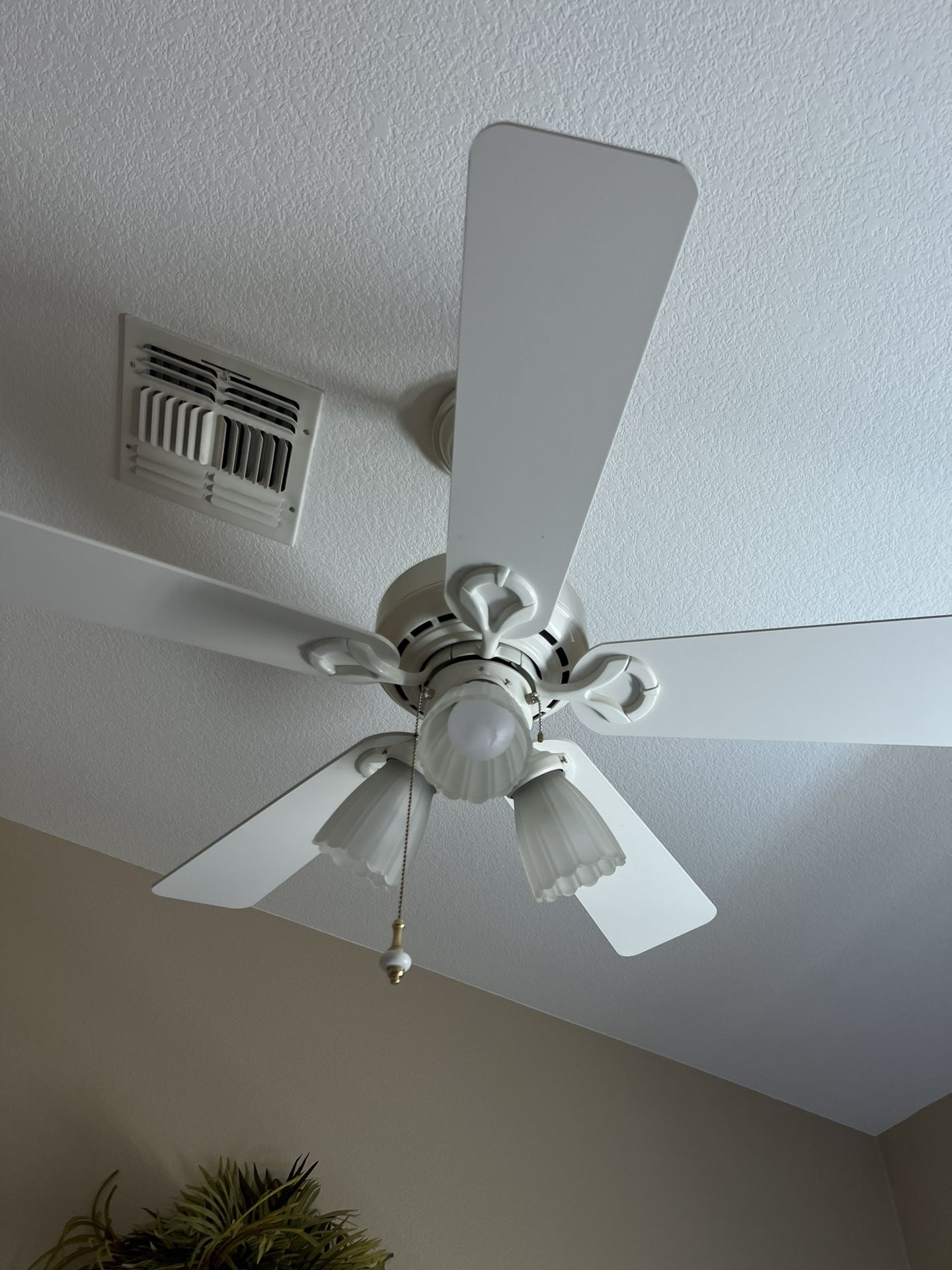 Ceiling fan