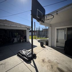 Basketball Court 