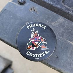 Phoenix coyotes