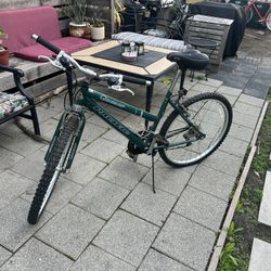 Pacific Mountain Bike